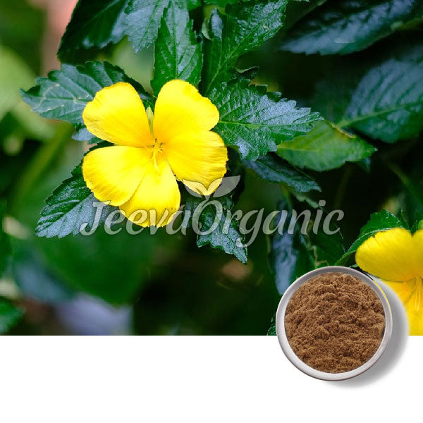Teinture Mère De Damiana (Turnera Diffusa) - 1:3 - Flacon 500ml - Home Herbs