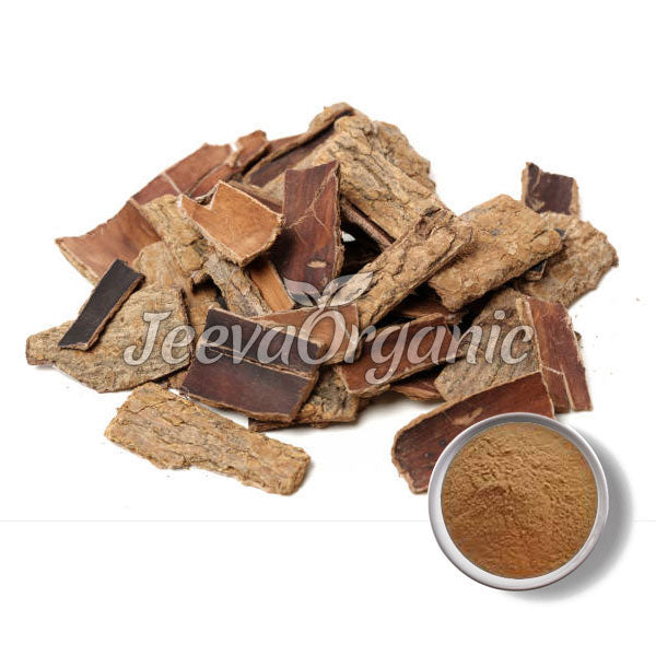 Eucommia Extract 10:1 Powder