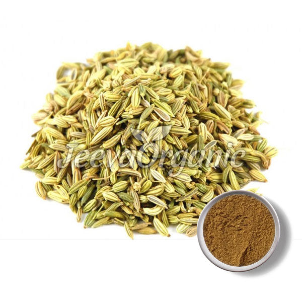 Fennel Seed Extract Powder 10:1