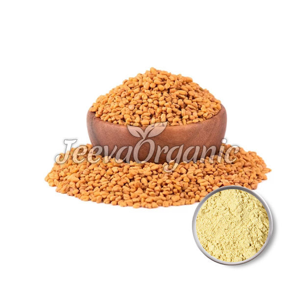 Bulk Fenugreek Seeds Powder (Trigonella foenum)
