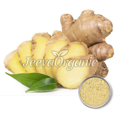 Ginger Root Powder, Fermented