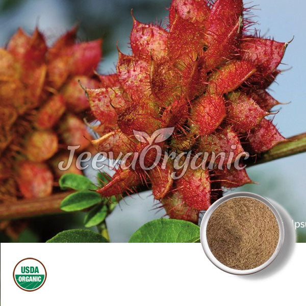 Organic Glycyrrhiza Powder