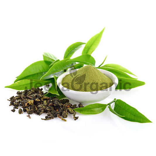Green Tea Extract Powder 95% Egcg