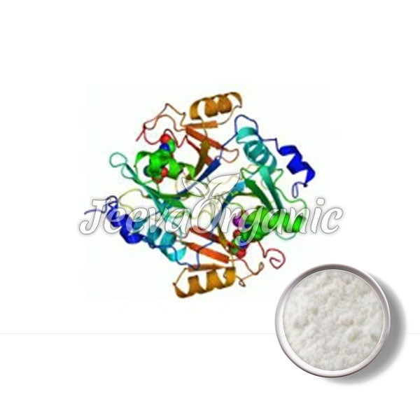 Hemicellulase Powder