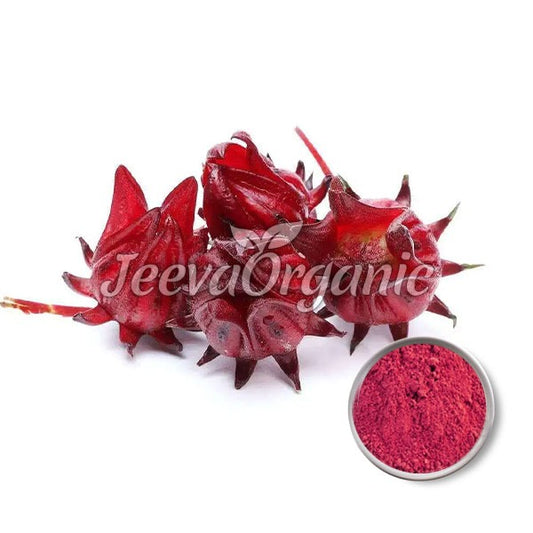 Hibiscus Sabdariffa Extract Powder 4:1