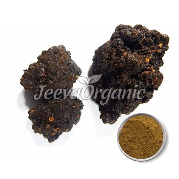 Shilajit Extract Powder 30% Fulvic Acid