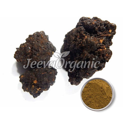 Shilajit Extract Powder 30% Fulvic Acid