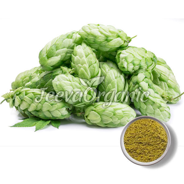 Hops Buds Powder