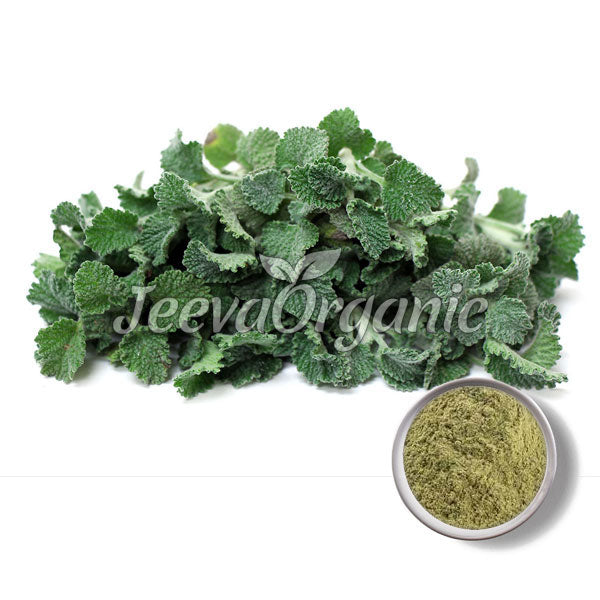 Horehound Powder