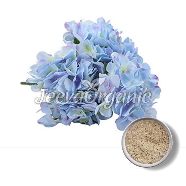 Hydrangea Powder