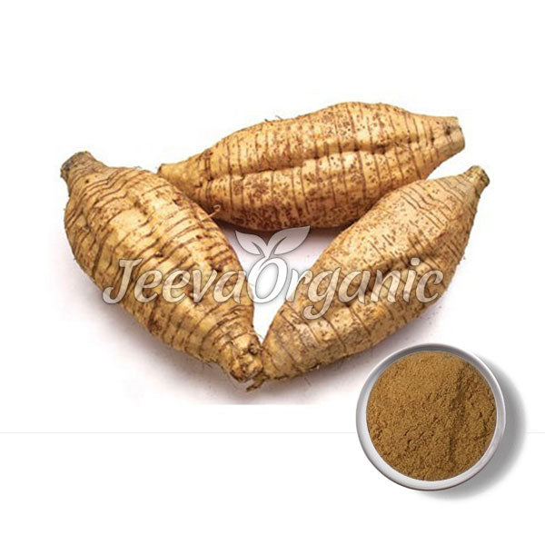 Kudzu Root Extract Powder 40% Hplc