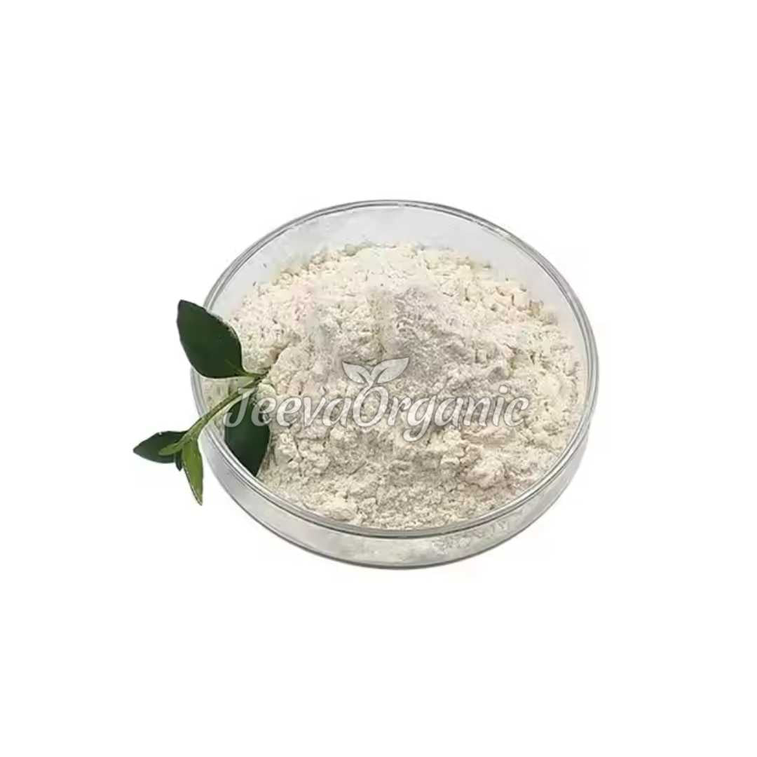 Lactobacillus salivarius Powder 400B cfu/g