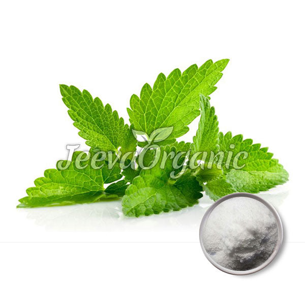 Lemon Balm Extract Powder 7% Rosmarinic Acid