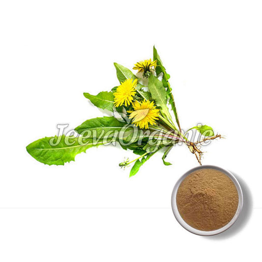 Mongolian Dandelion Powder