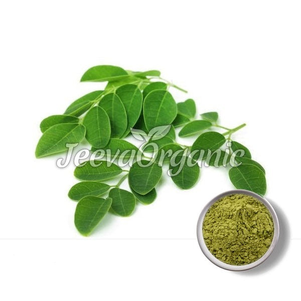 Moringa Leaf Extract Powder 4:1