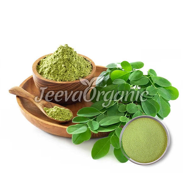 Organic Moringa Leaf Powder | Bulk B2B Supplier