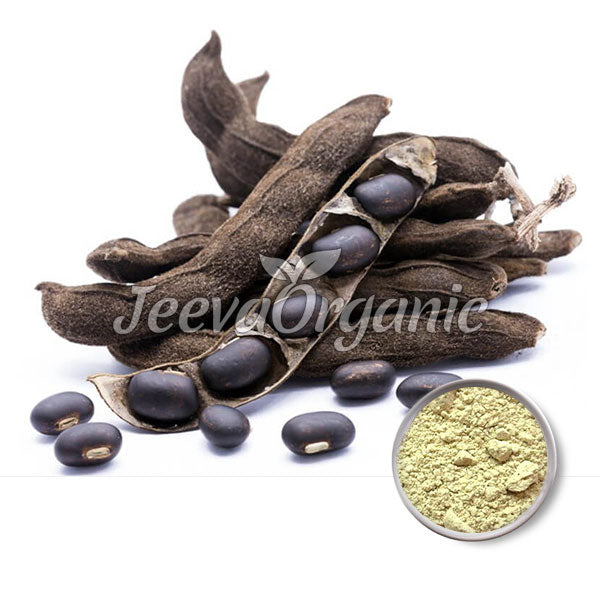 Poudre D'Extrait De Mucuna Pruriens 10% Poudre De Qualité Poudre D'Extrait De Mucuna Pruriens 10% Poudre De Qualité