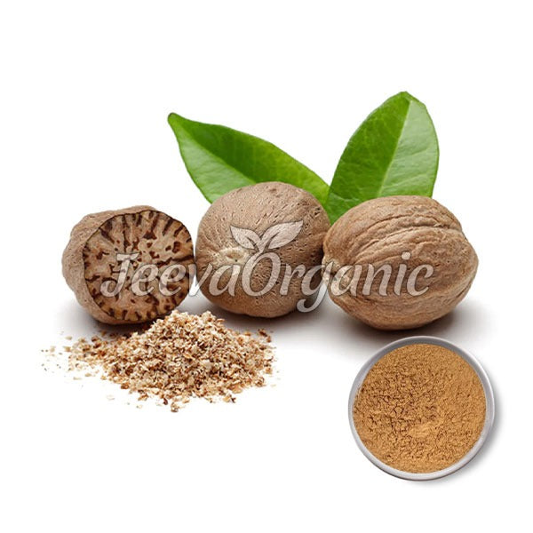 Bulk Nutmeg Extract Powder 5:1 Supplier