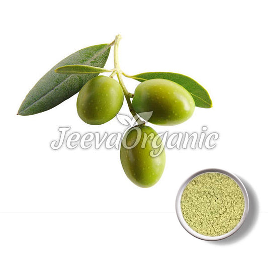 Organic Olive Leaf Powder