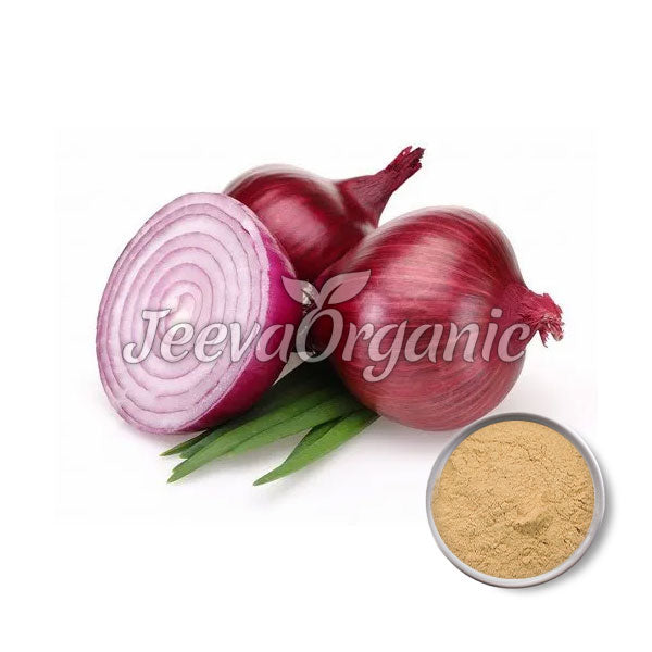 Onion Bulb Extract Powder 4:1