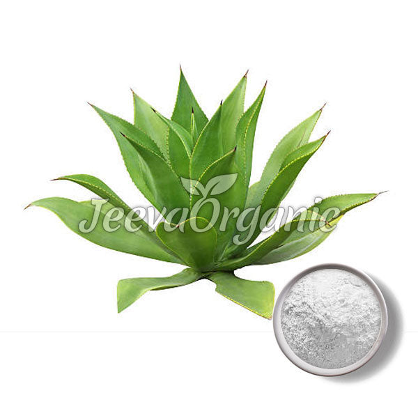 Agave Powder