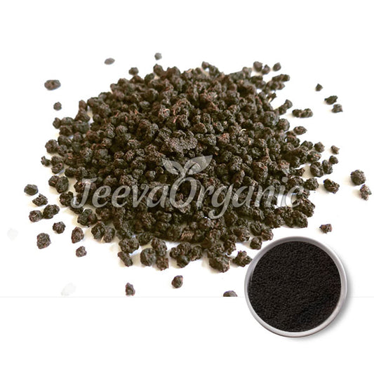 Organic Assam BOP Tea Powder