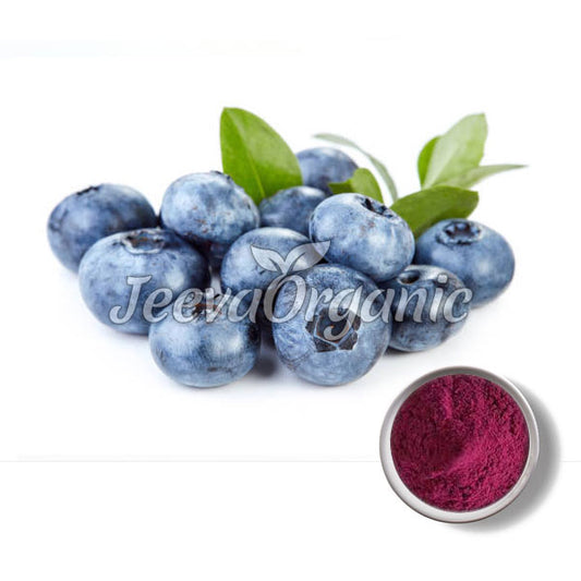 Fresh blueberries with green leaves beside a small bowl of vibrant pink powder, labeled "Jeeva Organic."