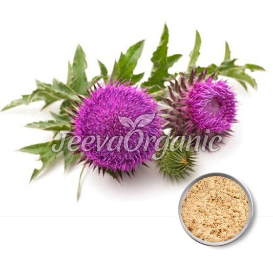 Two vibrant purple thistle flowers with green leaves, alongside a bowl of light brown powder, labeled "Jeeva Organic."