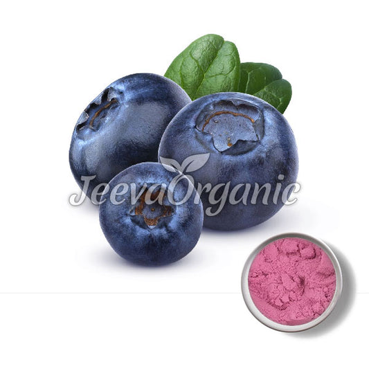 Organic Blueberry Extract Powder 4:1