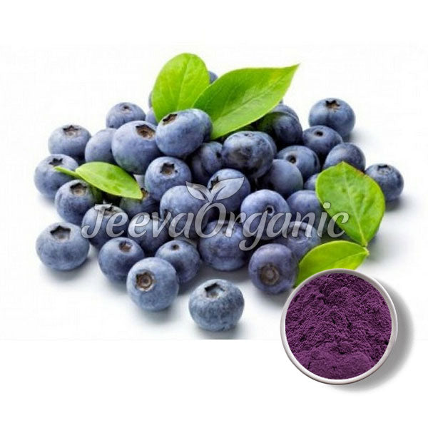 Blueberry Fruit Powder