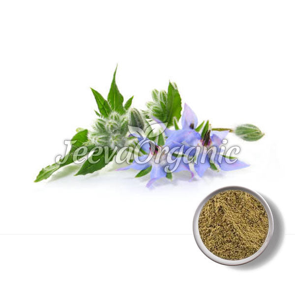 Borage Powder