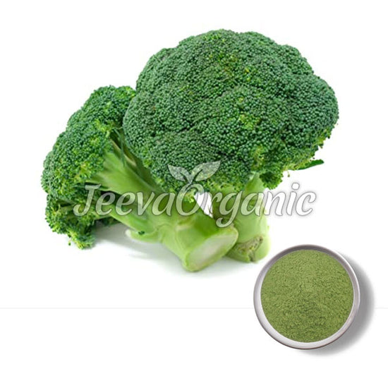 Bulk Organic Broccoli Powder Supplier