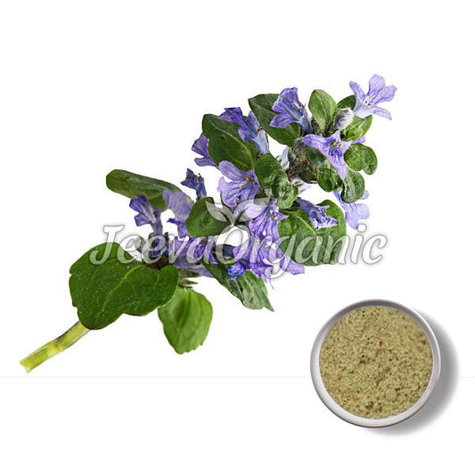 Bugleweed Powder