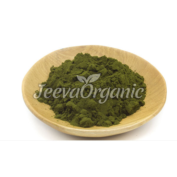 Chlorella Powder