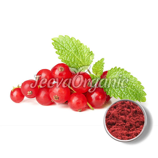 Cranberry Extract Powder 12:1