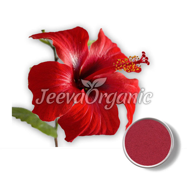 Organic Hibiscus Dried Flowers, Herbal Tea, Freshly Air Dried - View #7