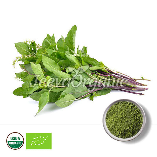 Organic Holy Basil Leaves Powder