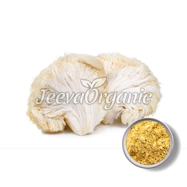 Lion's Mane Mushroom Powder