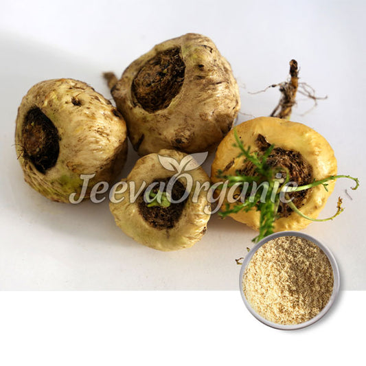 Organic Maca Powder, Gelatinized