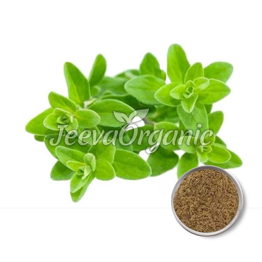 Organic Marjoram Powder