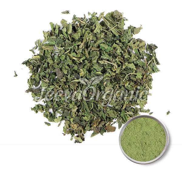 Nettle Root Extract Powder 0.8% Beta Sitosterol