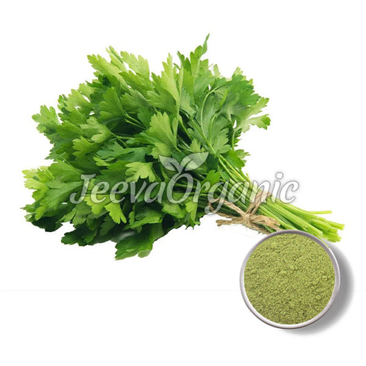 Petersilienpulver