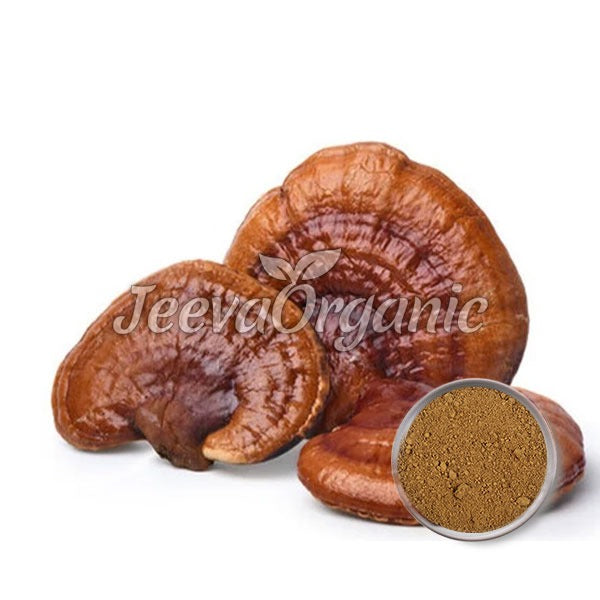 Organic Red Reishi Mushroom Extract Powder 100:1