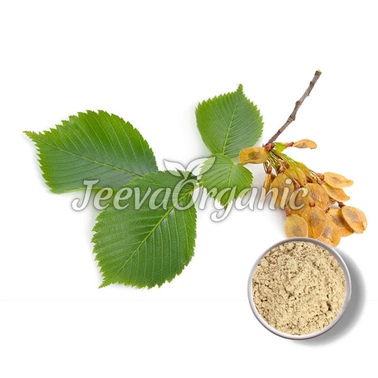 Organic Slippery Elm Bark Powder