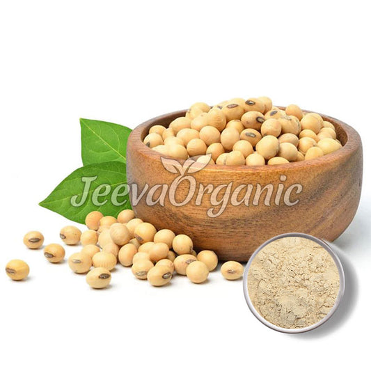 Bio-Sojapulver