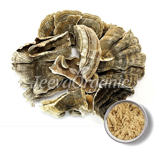 Organic Turkey Tail Mushroom Powder