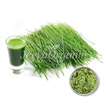 Organic Wheat Grass Juice Powder