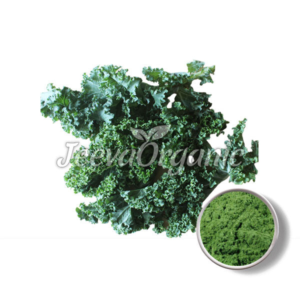 Kale Powder