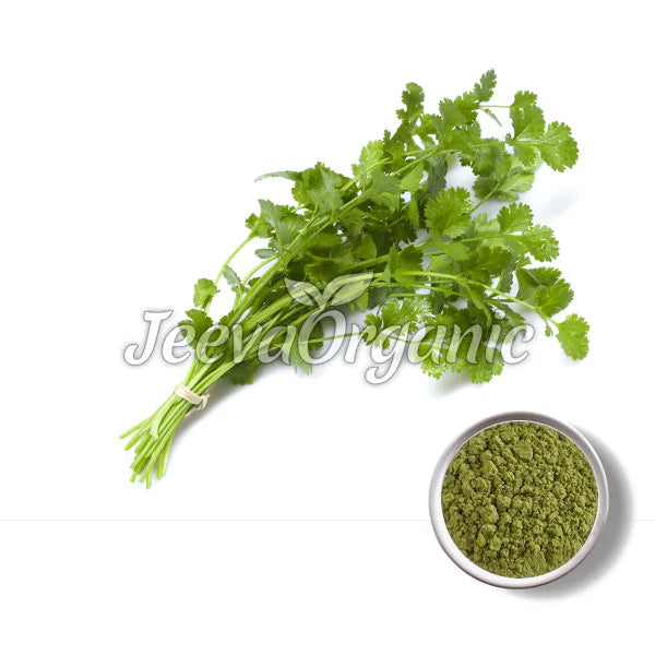 Organic Coriander Leaf Powder