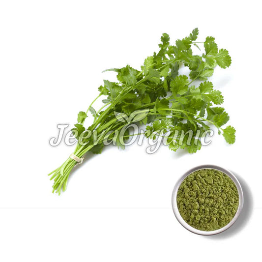 Organic Coriander Leaf Powder